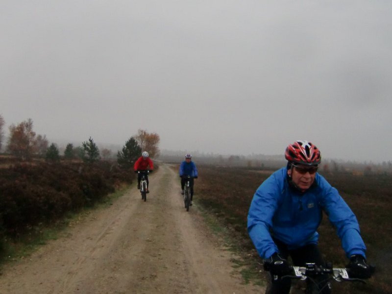 Wilseder Berg 1 2010 022